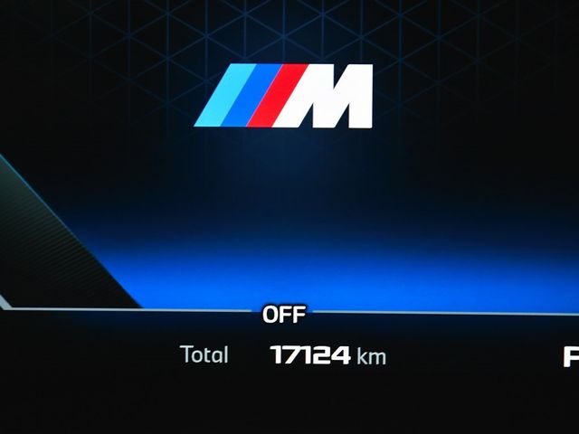 2025 BMW 4 Series M440i xDrive - 22967531 - 24