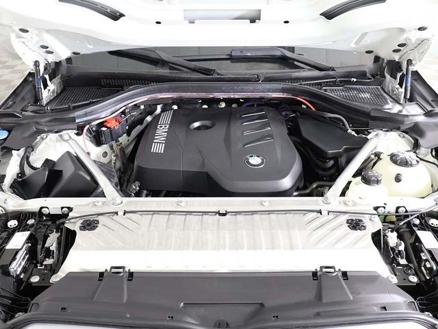 2025 BMW X3 30 xDrive Sports Activity Vehicle - 22935997 - 21