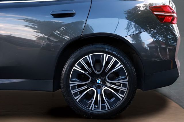 2025 BMW X3 30 xDrive Sports Activity Vehicle - 23042860 - 10