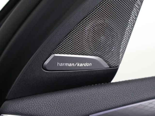 2025 BMW X4 M40i Sports Activity - 22993554 - 62