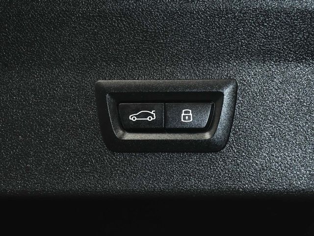 2025 BMW X4 xDrive30i - 22972868 - 71