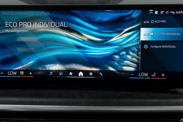 2025 BMW X5 xDrive40i Sports Activity Vehicle - 22909886 - 31