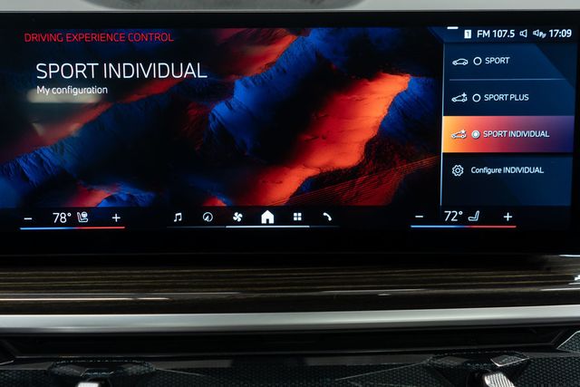 2025 BMW X6 xDrive40i Sports Activity - 22951205 - 30