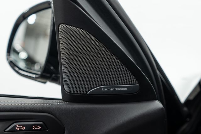 2025 BMW X6 xDrive40i Sports Activity - 22995247 - 16