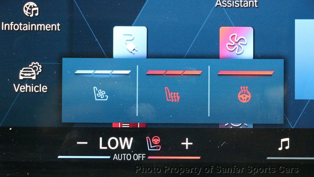 2025 BMW XM Sports Activity Vehicle - 22995755 - 34