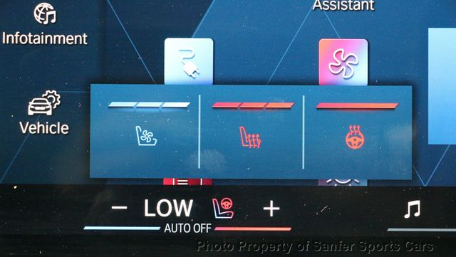 2025 BMW XM Sports Activity Vehicle - 22995755 - 34