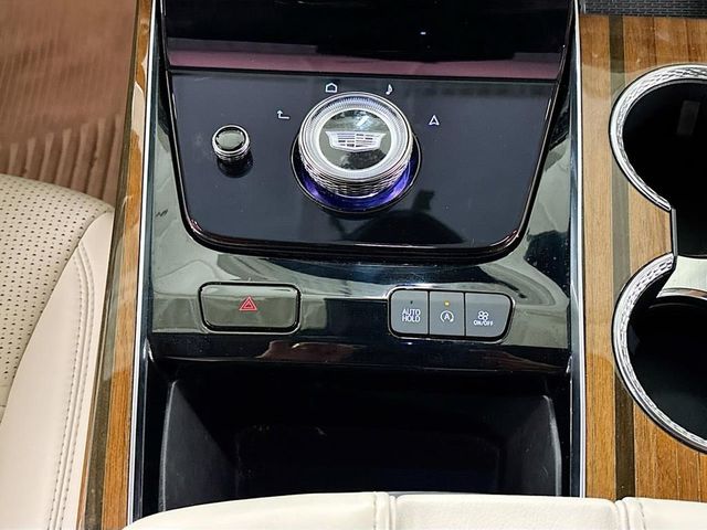 2025 Cadillac Escalade 4WD 4dr Sport Platinum - 23026332 - 21
