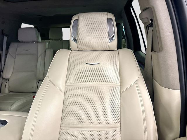 2025 Cadillac Escalade 4WD 4dr Sport Platinum - 23026332 - 22