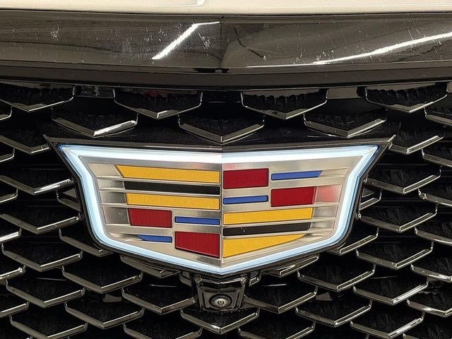 2025 Cadillac Escalade 4WD 4dr Sport Platinum - 23026332 - 31