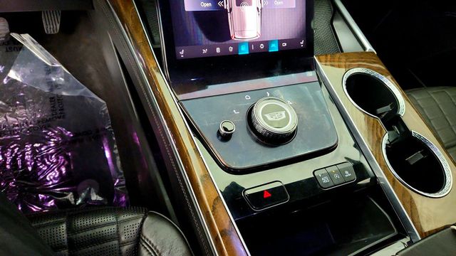 2025 Cadillac Escalade 4WD 4dr Sport Platinum - 23097123 - 15