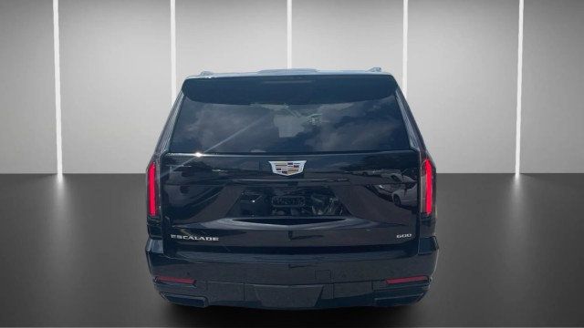 2025 Cadillac Escalade ESV 4WD 4dr Sport - 23048937 - 8