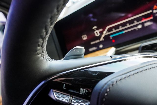 2025 Cadillac Escalade ESV 4WD 4dr Sport Platinum - 22983400 - 20