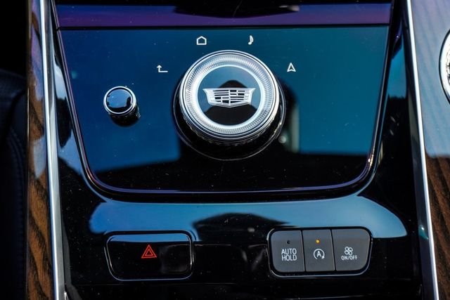 2025 Cadillac Escalade ESV 4WD 4dr Sport Platinum - 22983400 - 27