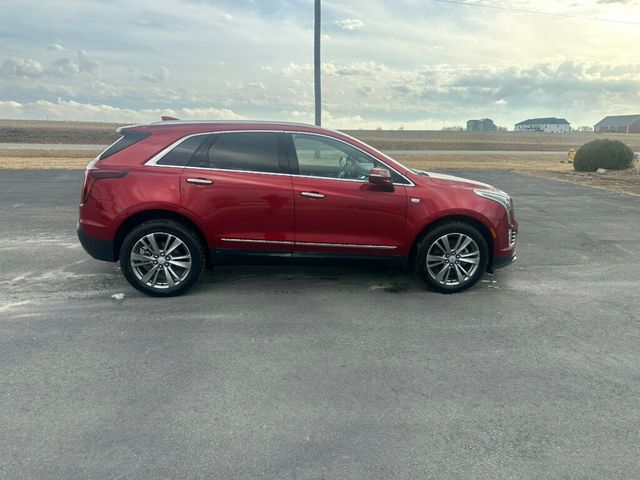 2025 Cadillac XT5 AWD 4dr Premium Luxury - 22987717 - 5