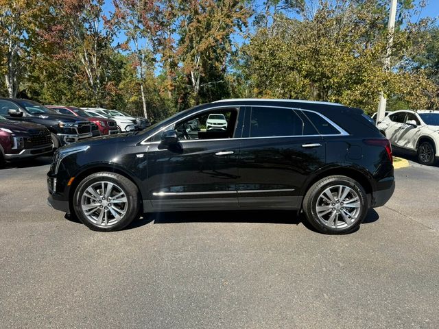 2025 Cadillac XT5 AWD 4dr Premium Luxury - 22940971 - 1