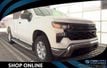 2025 Chevrolet Silverado 1500 2WD Reg Cab 140" Work Truck - 23075338 - 0