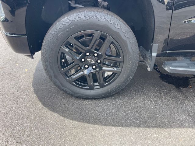 2025 CHEVROLET SILVERADO 1500 LT TRAIL BOSS - 23079298 - 8