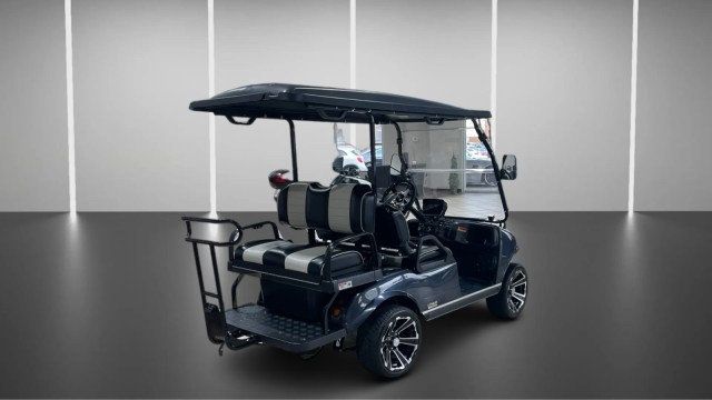 2025 Evolution Lithium Unknown  - 22969574 - 2