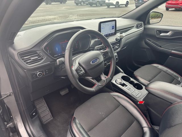 2025 Ford Escape ST-Line Select - 23079377 - 9