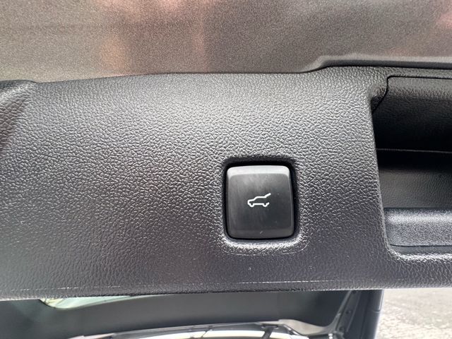 2025 Ford Escape ST-Line Select - 23079377 - 31