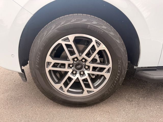2025 Ford Expedition 4WD ACTIVE WITH 202A PACKAGE ($4,215 VALUE - 23061396 - 31