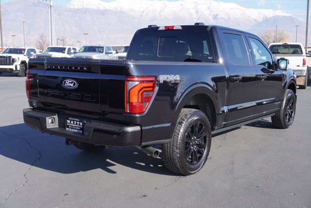 2025 Ford F-150 PLATINUM - 22950498 - 13
