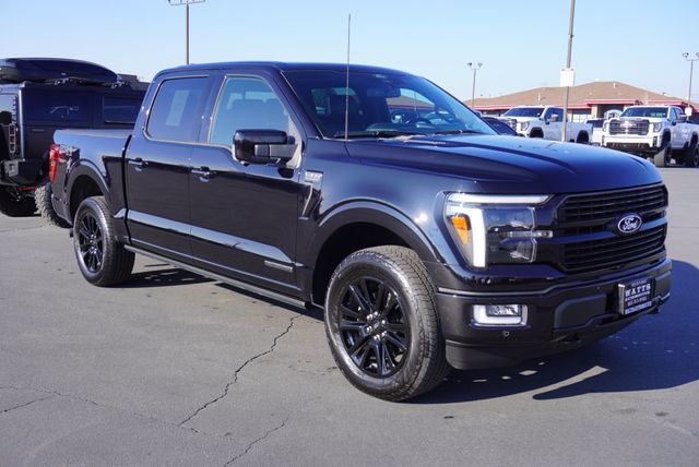 2025 Ford F-150 PLATINUM - 22950498 - 16