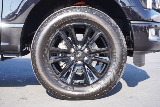 2025 Ford F-150 PLATINUM - 22950498 - 17