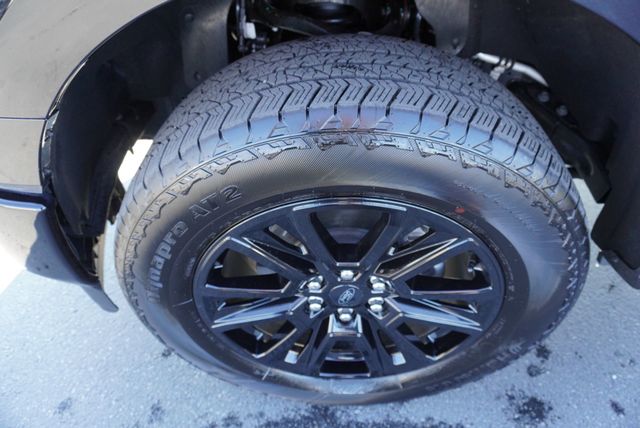 2025 Ford F-150 PLATINUM - 22950498 - 18