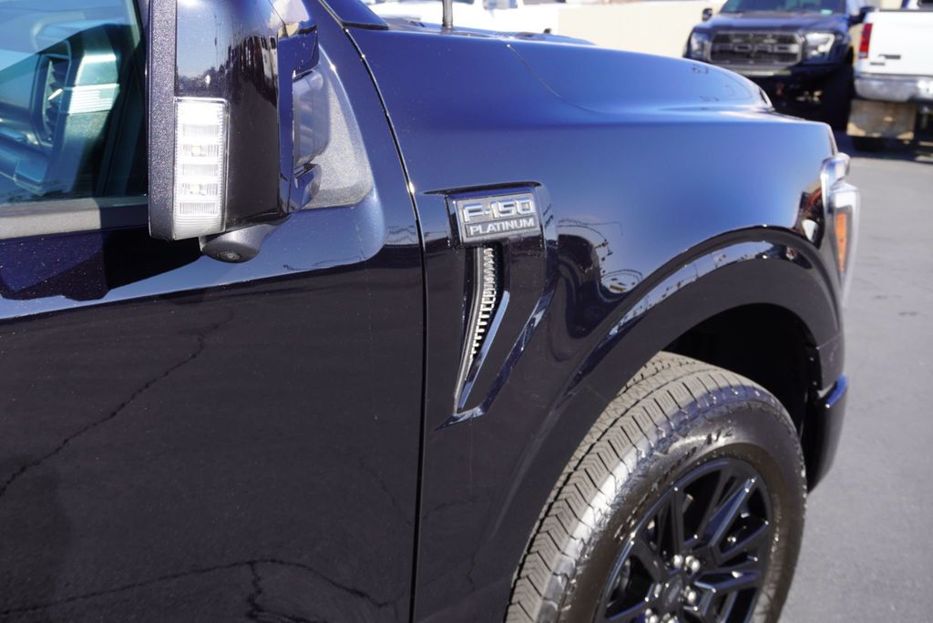 2025 Ford F-150 PLATINUM - 22950498 - 20