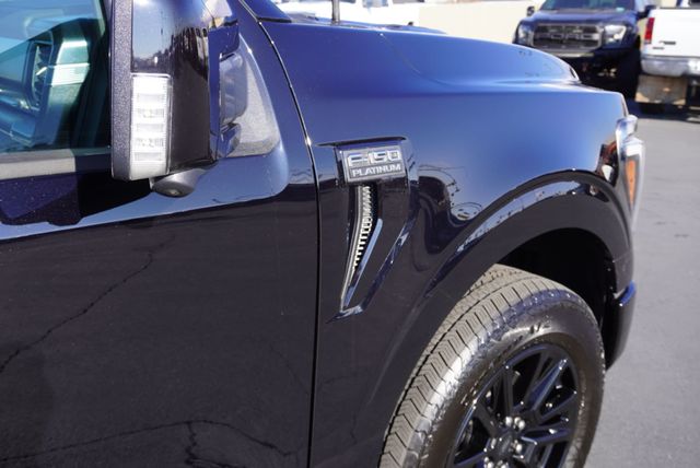 2025 Ford F-150 PLATINUM - 22950498 - 20