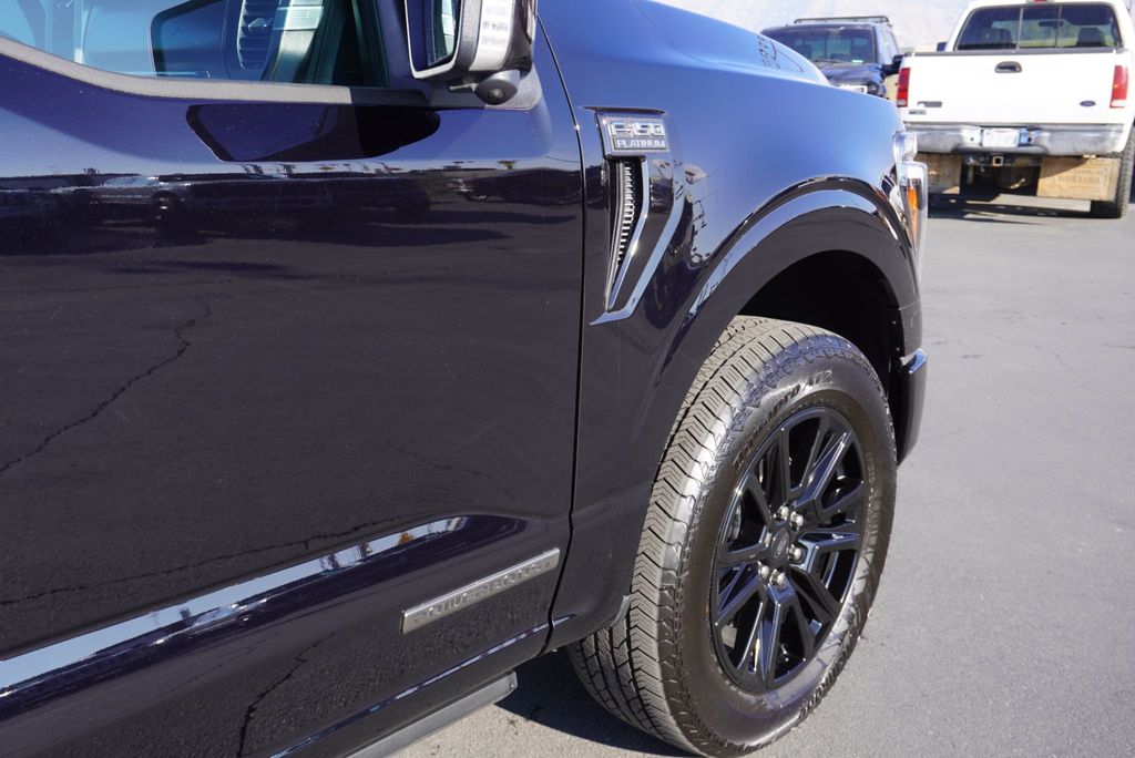 2025 Ford F-150 PLATINUM - 22950498 - 21
