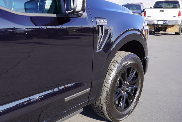 2025 Ford F-150 PLATINUM - 22950498 - 21