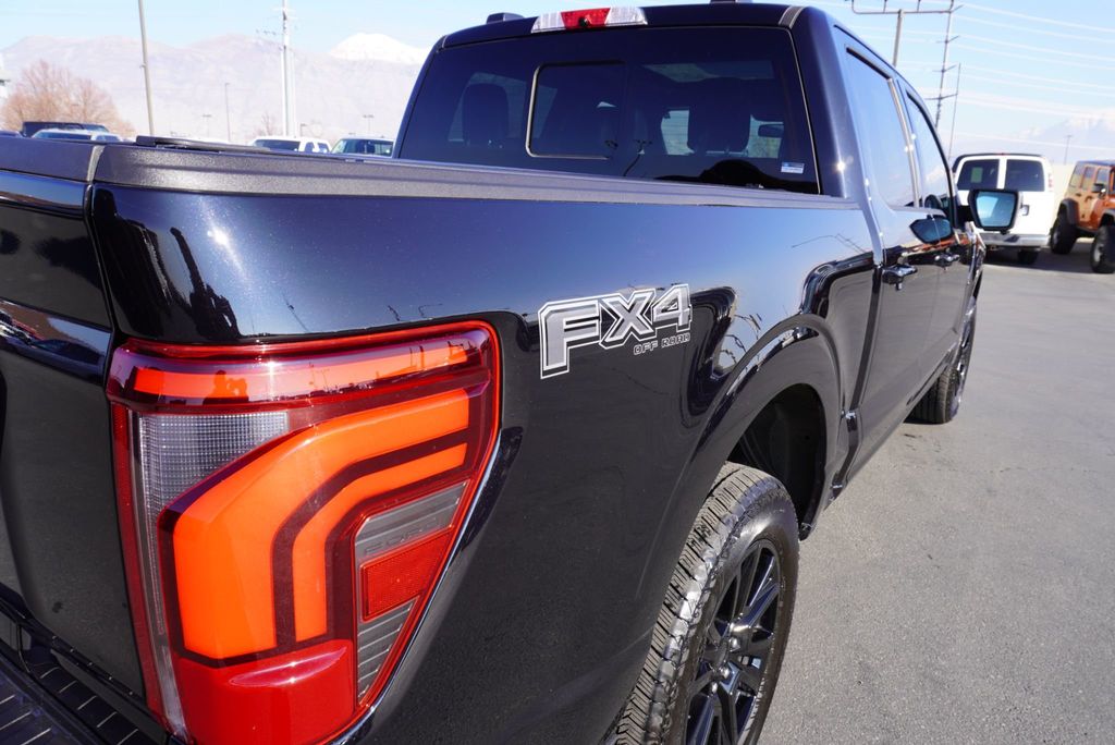 2025 Ford F-150 PLATINUM - 22950498 - 22