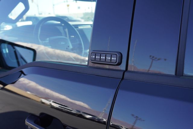 2025 Ford F-150 PLATINUM - 22950498 - 23