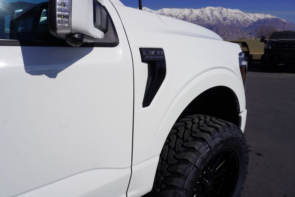2025 Ford F-150 PLATINUM - 22979810 - 18