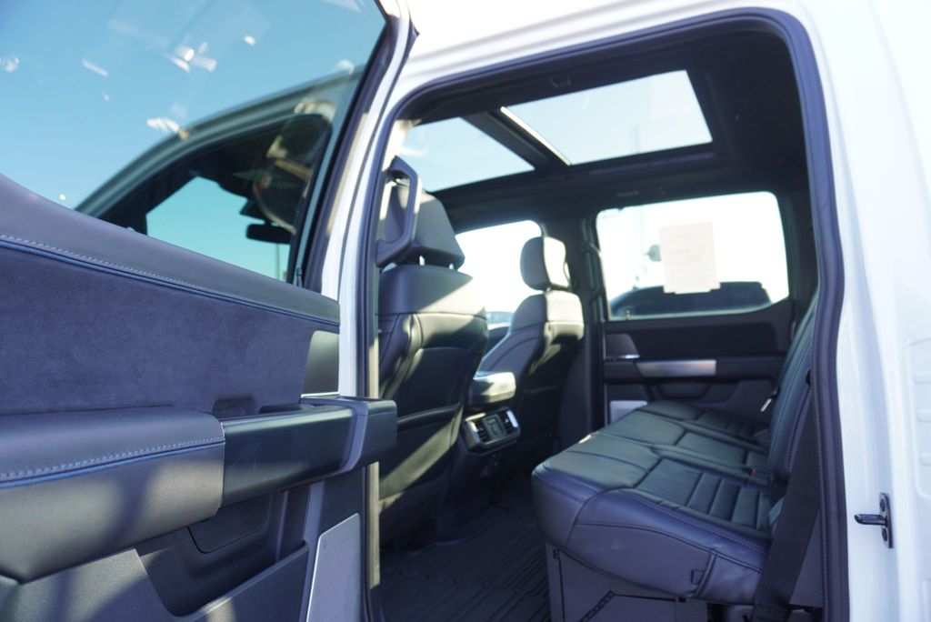 2025 Ford F-150 PLATINUM - 22979810 - 21