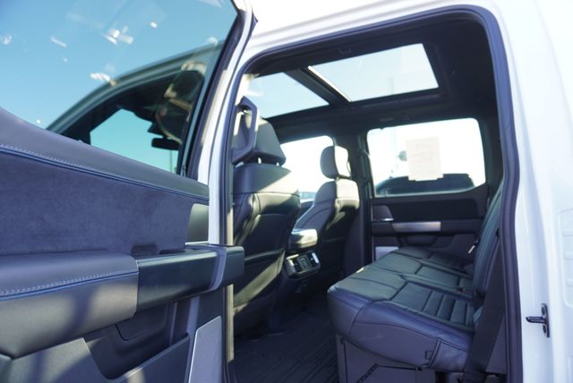 2025 Ford F-150 PLATINUM - 22979810 - 21