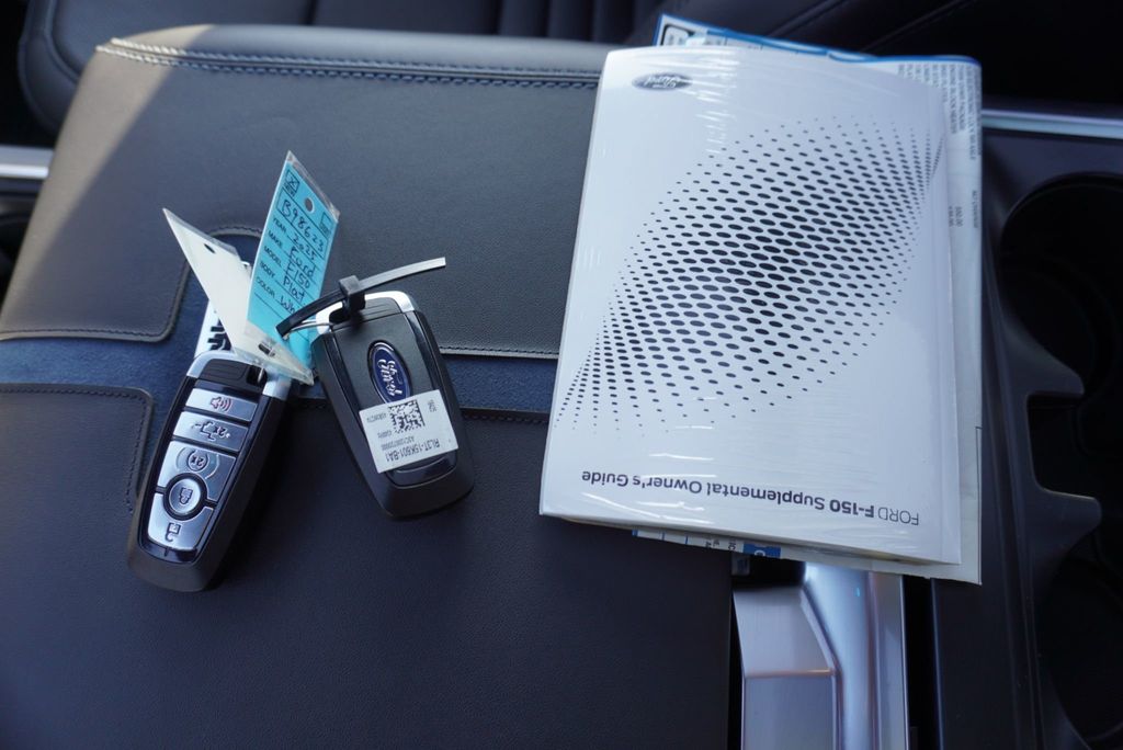 2025 Ford F-150 PLATINUM - 22979810 - 49