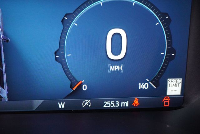 2025 Ford F-150 RAPTOR - 22961581 - 29