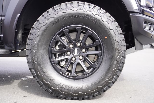 2025 Ford F-150 RAPTOR - 22983403 - 17