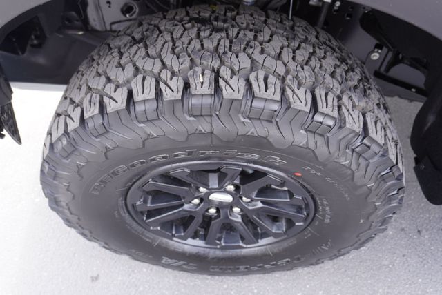 2025 Ford F-150 RAPTOR - 22983403 - 18