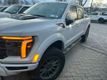 2025 Ford F-150 Raptor 4WD SuperCrew 5.5' Box - 22966938 - 0