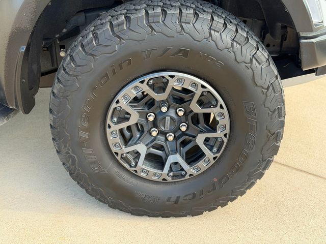 2025 Ford F-150 Raptor 4WD SuperCrew "R" - 23008356 - 40