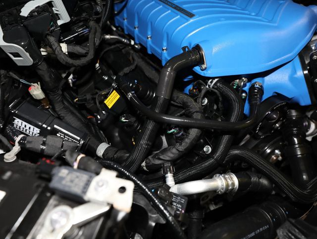 2025 Ford F-150 SHELBY SUPER SNAKE - 500 MILES - 23064239 - 99