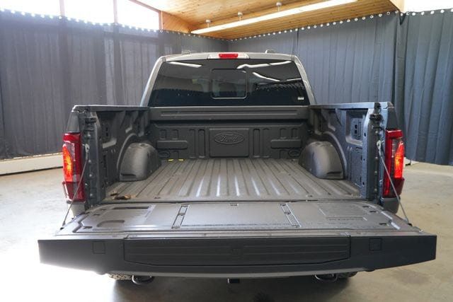 2025 Ford F-150 Tremor - 23077601 - 37