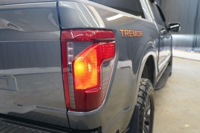 2025 Ford F-150 Tremor - 23077601 - 51
