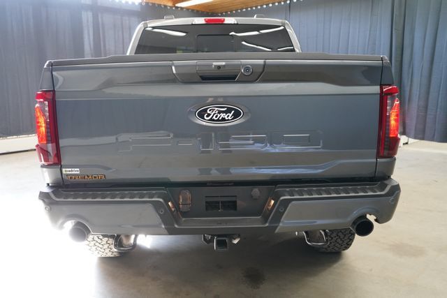 2025 Ford F-150 Tremor - 23077601 - 5
