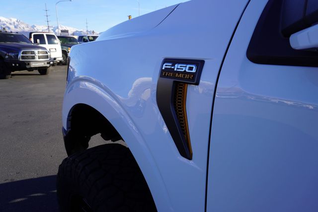 2025 Ford F-150 TREMOR - 22958801 - 20