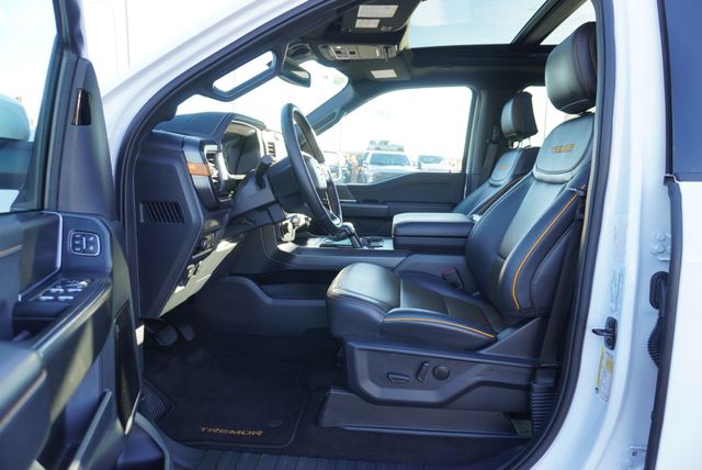 2025 Ford F-150 TREMOR - 22958801 - 21